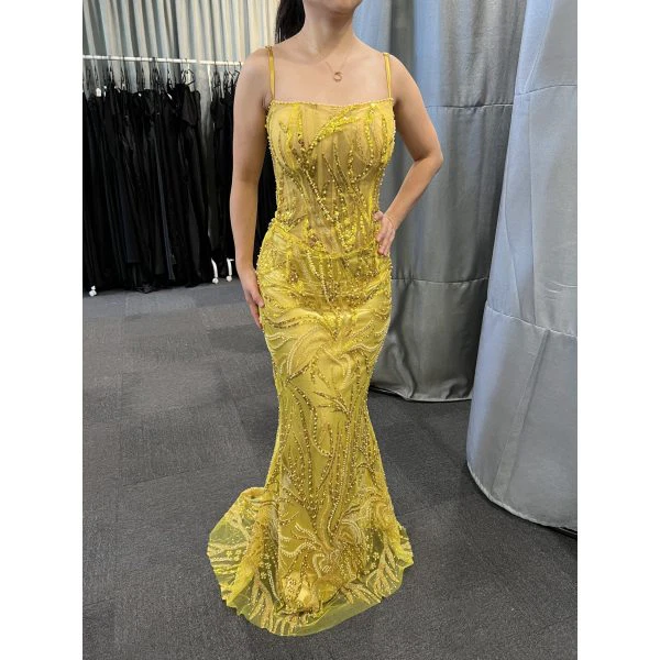 Q819 - QYN Sierra Gown